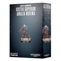 Special Order: Sister Superior Amalia Novena